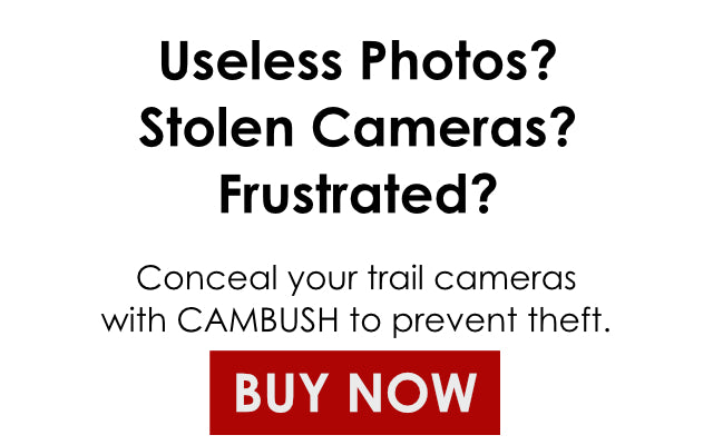 Conceal Trail Cameras